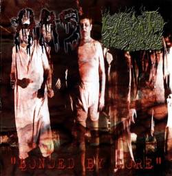 Lacerated Corpse Rape : Bonded by Gore